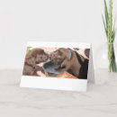 Suche nach puppies karten Tiere