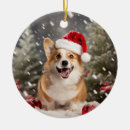 Suche nach pembroke welsh corgi ornamente Welpe