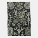 Suche nach haeckel geschirr tücher Wald