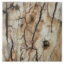 Suche nach alter baum fliesen Natur