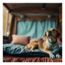 Suche nach bett poster Hund