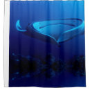 Suche nach mantarochen Riff