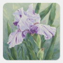 Suche nach lila iris aufkleber Grün