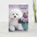 Suche nach bichon frise geburtstag karten Hunde