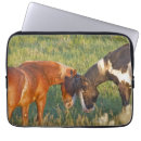 Suche nach wildes pferd laptop schutzhüllen Superstock