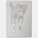 Suche nach leute post it Katze