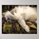 Suche nach merkwürdige poster Niedlich