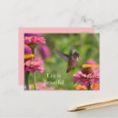 Suche nach kolibris postkarten Blumen