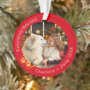 Suche nach roter hund ornamente Hundeliebhaber