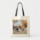 Suche nach shih tzu taschen Porträt