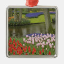 Suche nach tulpen ornamente Holland