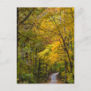Suche nach hartholz poster Herbst