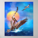 Suche nach pelican poster Seevögel