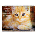 Suche nach tabby Katze