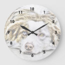 Suche nach australian shepherd Pets