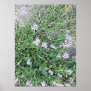 Suche nach natürliche poster Botanisch