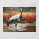 Suche nach lebendes wasser postkarten Wild lebende tiere