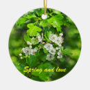 Suche nach frühling ornamente Blüten