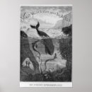 Suche nach underwater poster Adventure