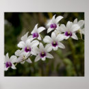 Suche nach sanskrit poster Reisen