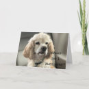 Suche nach cocker spaniel karten Lustig