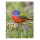 Suche nach usa notizbuch Texas