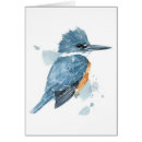 Suche nach eisvogel postkarten Geburtstag