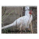 Suche nach kardinäle kalender Spechte