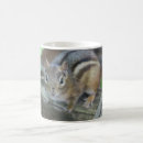 Suche nach chipmunk tassen Tierwelt