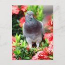 Suche nach taub postkarten Blume