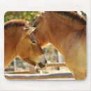 Suche nach schöne pferde mousepads Tier