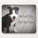 Suche nach pitbull hund mousepads Hunde