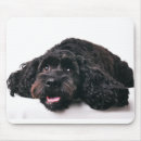 Suche nach cockerspaniel mousepads Haustier