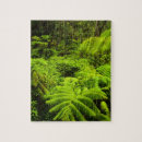 Suche nach farne puzzle Blattwerk