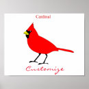Suche nach roter kardinal poster Singvogel