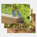 Suche nach schwalben geschenkpapier Vogelvogel