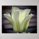 Suche nach grüne blume poster Mother