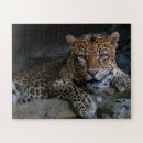 Suche nach jaguar puzzle Tier