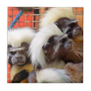 Suche nach baumwolle fliesen Niedlich