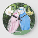 Suche nach budgerigar poster Katzenjammer