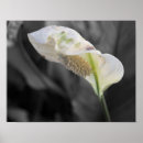 Suche nach farbspritzen poster Für sie