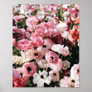 Suche nach rosa blumen poster Natur
