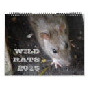 Suche nach ratten kalender Natur