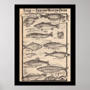 Suche nach angler poster Hochseefischerei