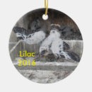 Suche nach flieder ornamente Verzierung