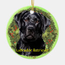 Suche nach zucht ornamente Kopf