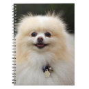 Suche nach glocke kleine notizbücher Hund