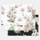 Suche nach weiße orchideen geschenkpapier Aquarell