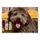 Suche nach gundog postkarten Kragen