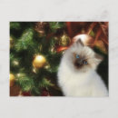 Suche nach perser postkarten Urlaub